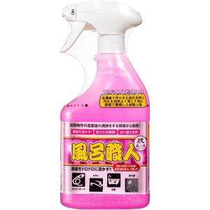 技職人魂 風呂職人 業務用風呂洗剤 スプレーボトル 500ml 風呂用洗剤 1個 允・セサミ 湯垢 浴室用洗剤｜syuunounavi