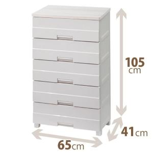 天馬 天馬フィッツプラスイージー FE5504 衣装ケース 収納ケース