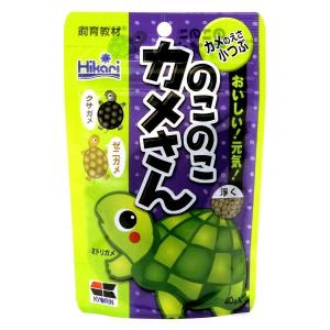 のこのこカメさん４０ｇ