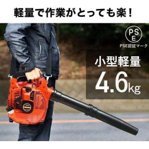 ECHO背負いブロワ　EBR2500 ECHO背負いブロワ EBR2500の通販｜ブロワ｜エンジン工具