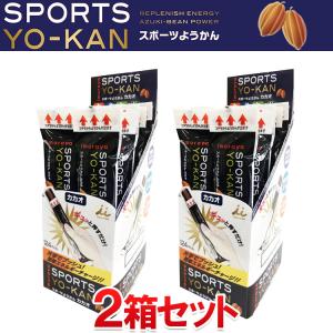 井村屋 スポーツようかん カカオ 10本入り×2箱セット｜szone