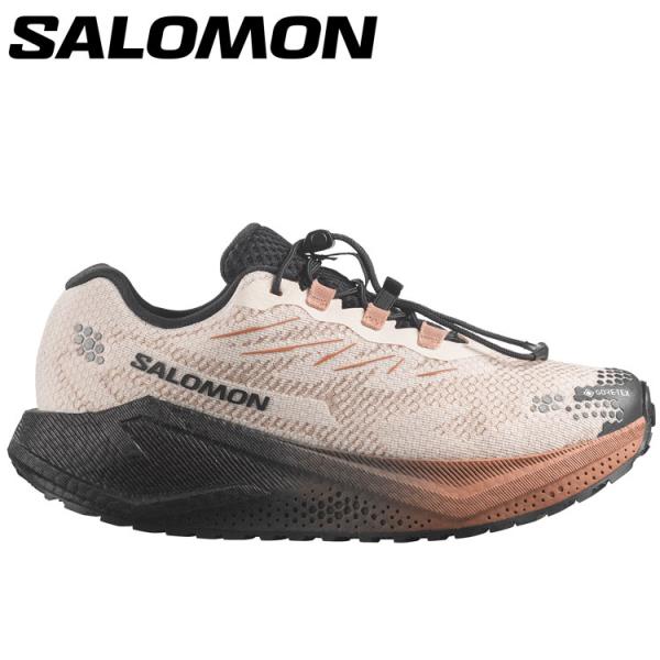 サロモン AERO BLAZE 4 GRVL GTX W L45403900 レディースシューズ
