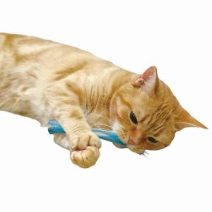 ドギーマンハヤシ 猫ちゃん歯ブラシ かみかみ歯...の詳細画像2