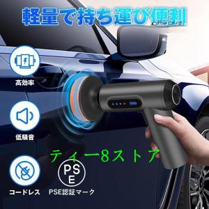 K&FP シャインメイト ミニ ダブルアクションポリッシャー EX603