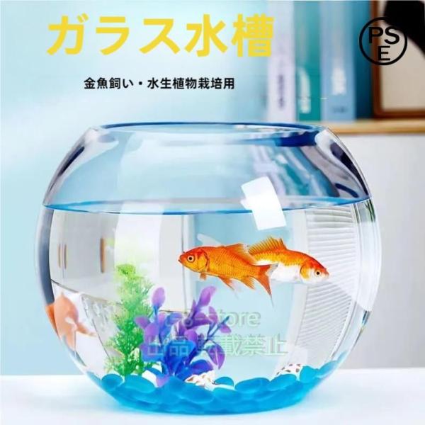 30cm 金魚鉢 ガラス製 透明 丸 鉢 和風 可愛い ミニ水槽 おしゃれ 多機能 観葉植物を入れて...