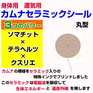 ブラックアイ ガイアス カムナセラミックシール...の詳細画像1