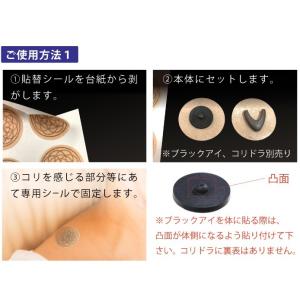 ブラックアイ ガイアス カムナセラミックシール...の詳細画像2