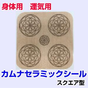 2026年2月】ソマチッド テラヘルツのおすすめ人気ランキング - Yahoo