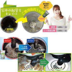 排水管洗浄液 天然バイオ お徳用1.8L 4回...の詳細画像3