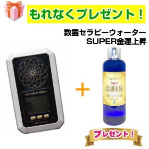 豪華特典DVD、ペンダント付き】 数霊 REIWA reiwa かずたま REIWA 株式