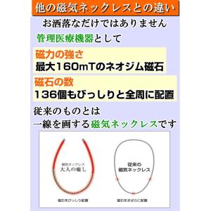 大人の癒し 磁気ネックレス ネオジム磁石びっし...の詳細画像3