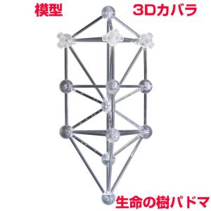 模型 3Dカバラ パドマ ステンレス 組立済 BLACK EYEブラックアイの医学