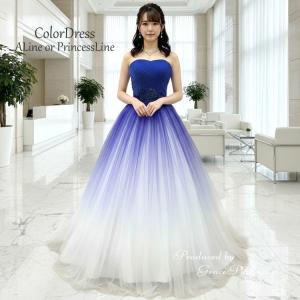 カラードレス  青 ブルー  結婚式  前撮り フォトウエディング 海外挙式 夏 演奏会ロングドレス　7号 9号 11号　ブライダル ウェディングドレス    cd01070