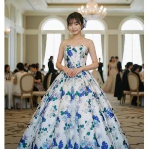 ステージドレス13号 2bfaaa59638a7fa46b872fa9053586