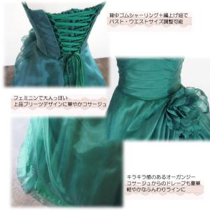 カラードレス 赤 青 紫 緑 紺 黄色 ピンク...の詳細画像2