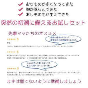 サニタリーショーツ ジュニア 3枚セット 福袋...の詳細画像3