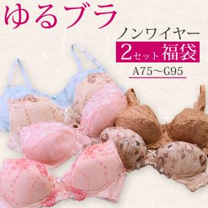 ブラジャー 大きいサイズ アンダー 大きめ ノンワイヤー ブラ 大きいサイズ かわいい ブラジャー 福袋 ブラジャー セット 2枚 ブラ 楽 ブラジャー レース｜t-colle2003