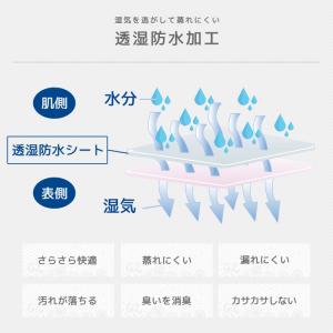 シームレス サニタリーショーツ 羽根つき 生理...の詳細画像3