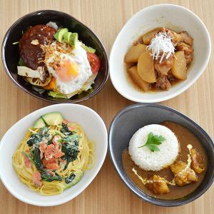 カレー皿　EAST　たまご型カリーボウル　和食器 カレーボウル