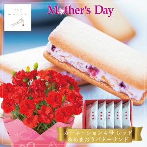 母の日 花とスイーツ 花 鉢植え カーネーション 赤 4号 鉢 あまおう バターサンド 苺のワルツ 母の日 プレゼント 花と焼き菓子 セット ギフト｜t-gift-yasan