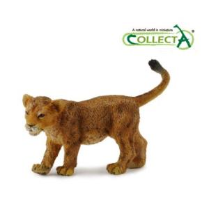 【送料無料/新品】 Collcta コレクタ 88417 ライオン 子ども（歩） Lion Cub Walking｜t-jnky