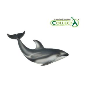 88612　カマイルカ　Pacific White Sided Dolphin 【コレクタ】｜t-jnky