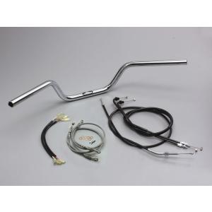 SR400・SR500 スモールウインカーキット バフボディ DAYTONA（デイトナ