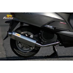 REALIZE（リアライズ） Aria（アリア） ステンレスマフラー Type-S