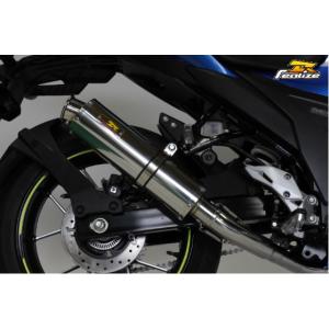 Realize ジクサー250 ジクサーSF250 バイクマフラー 2BK-ED22B 8BK