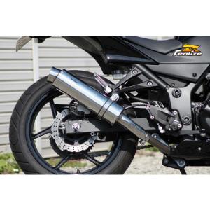 ツルノテクニカルサービス NINJA250 NINJA250R デュアルレーシング