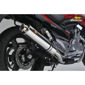 REALIZE（リアライズ） Realize GSR250 バイクマフラー JBK-GJ55D 2012