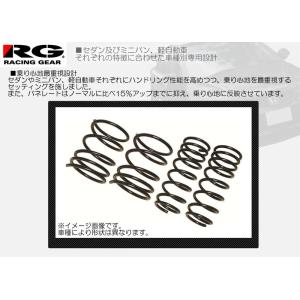 RG（レーシングギア） ダウンサス ノアヴォクシー ZRR80  【ST097A】