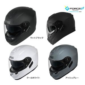 WINS ヘルメット　G-FORCE SS　フルフェイス　typeC　（ジーフォースエスエス　フルフェイス　タイプC）