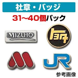 日本生命 社章 バッヂ ケース付き 美品 社章・会社バッジ作製パック （11〜20個）-社章・校章・園章