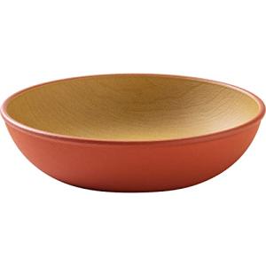 カノー earth color 抗菌ラウンドプレートS レッド