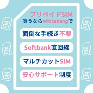 SoftBank プリペイドSIM 3GB 日...の詳細画像5