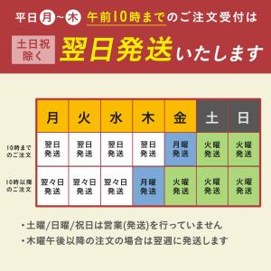 弁当容器 使い捨て BS弁当84-5 黒 40...の詳細画像1