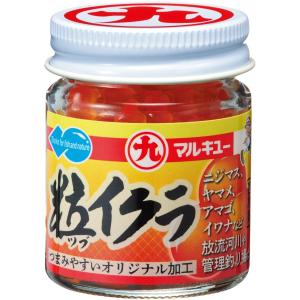 釣り餌イクラの商品一覧 通販 Yahoo ショッピング