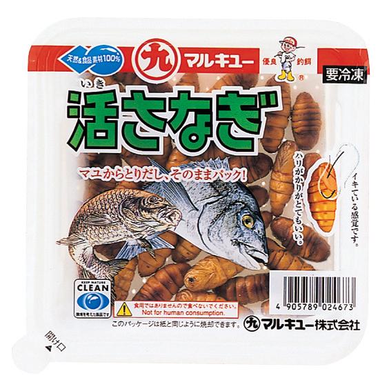 冷凍エサ　マルキュー　活さなぎ　刺し餌　ツケエサ　024673
