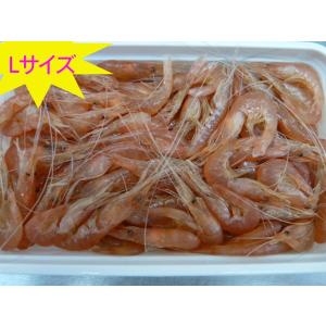 釣り餌冷凍エビの商品一覧 通販 Yahoo ショッピング
