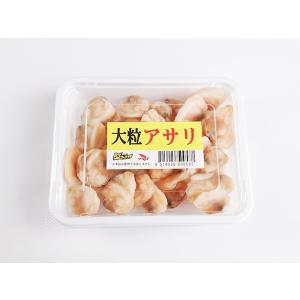 冷凍エサ(刺し餌)　マルゴ　 大粒アサリ　☆ポイント全額払い不可　500587