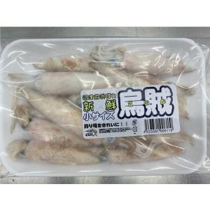 冷凍エサ　新鮮小イカ（小サイズ）　006119
