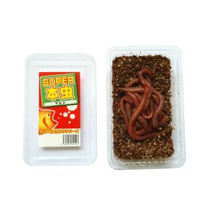 [502] スーパー本虫(マムシ・岩虫)パック...の詳細画像1