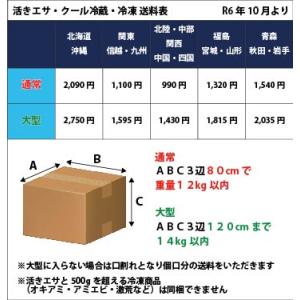 [502] スーパー本虫(マムシ・岩虫)パック...の詳細画像5
