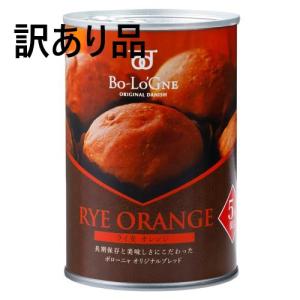 訳あり品 備蓄ｄｅボローニャ ブリオッシュ ライ麦 オレンジ 5年 長期保存食 (賞味期限2025年11月 賞味期限が短い商品 返品不可) 非常用食品の商品画像