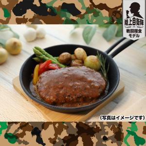 日本ハム 陸上自衛隊 戦闘糧食モデル 食べ比べ...の詳細画像3