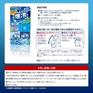 熱中症対策 東京商工社 速冷装備 (ソクレイソ...の詳細画像3