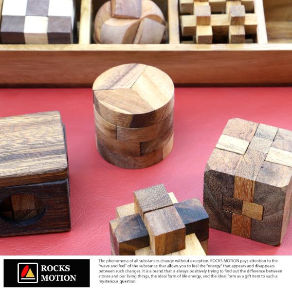 Rocks Motion 木製立体パズル 12個セット ケース入り Wood Puzzle