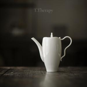 ♦中国？台湾 陸羽造 扁壺形 茶壺 茶道具 煎茶道具 茶器 急須 骨董品 ♢中国？台湾 陸羽造 扁壺形 茶壺 茶道具 煎茶道具 茶器 急須 骨董品