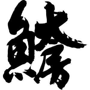 魚の 漢字 一覧 表の商品一覧 通販 Yahoo ショッピング